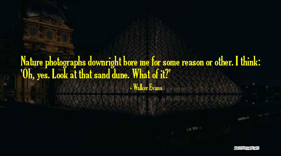 Doogal Trailer Quotes By Walker Evans Doogal Trailer Quotes By Walker Evans