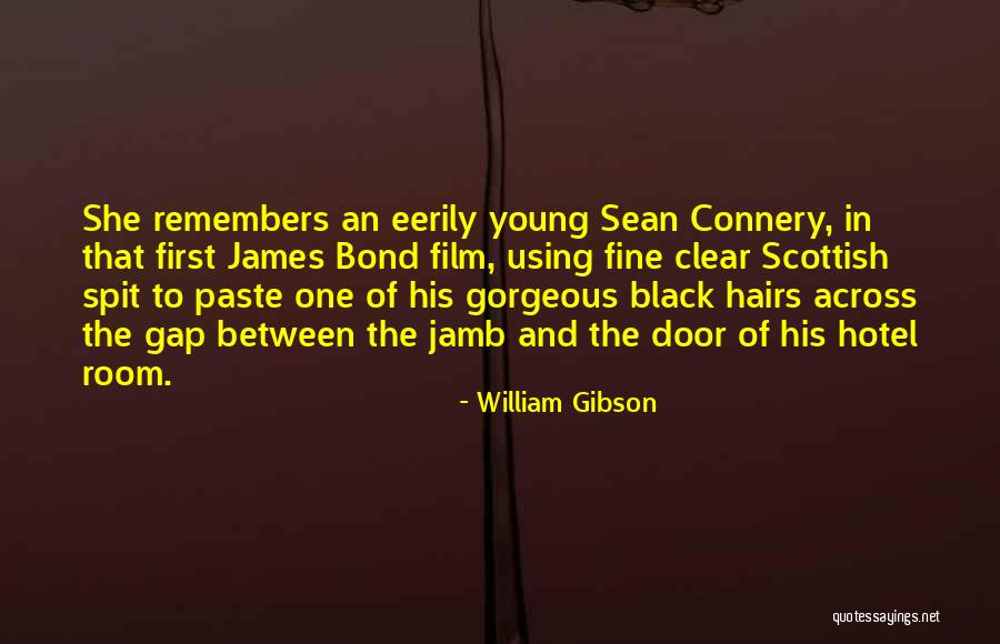 Door Jamb Quotes By William Gibson Door Jamb Quotes By William Gibson