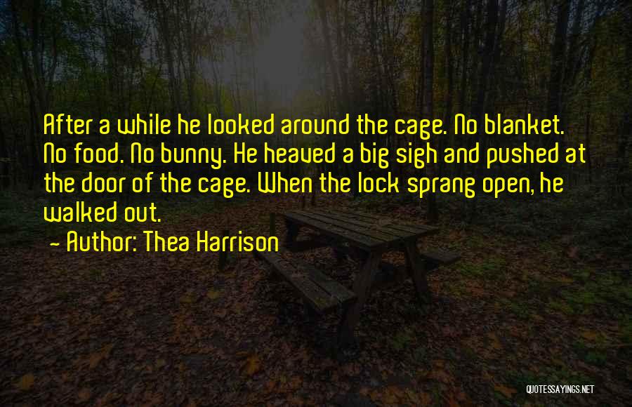 Door Lock Quotes By Thea Harrison