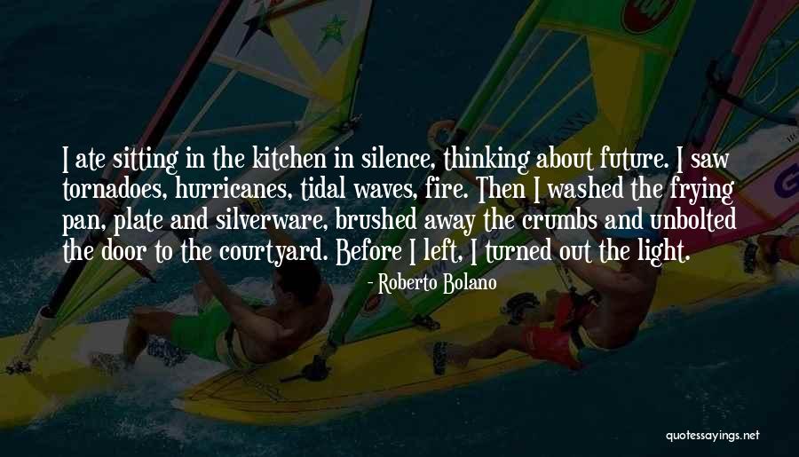 Door Plate Quotes By Roberto Bolano Door Plate Quotes By Roberto Bolano
