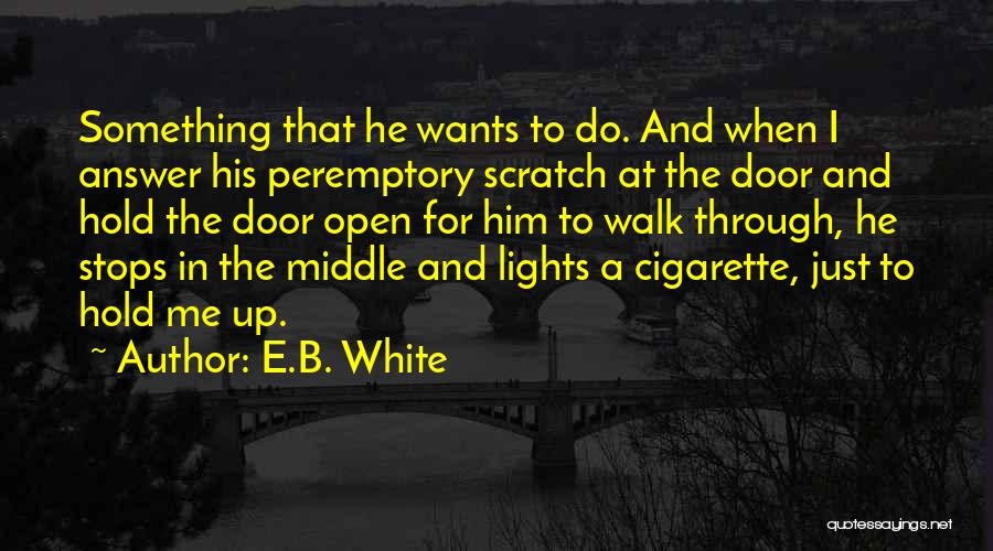 Door Stops Quotes By E.B. White