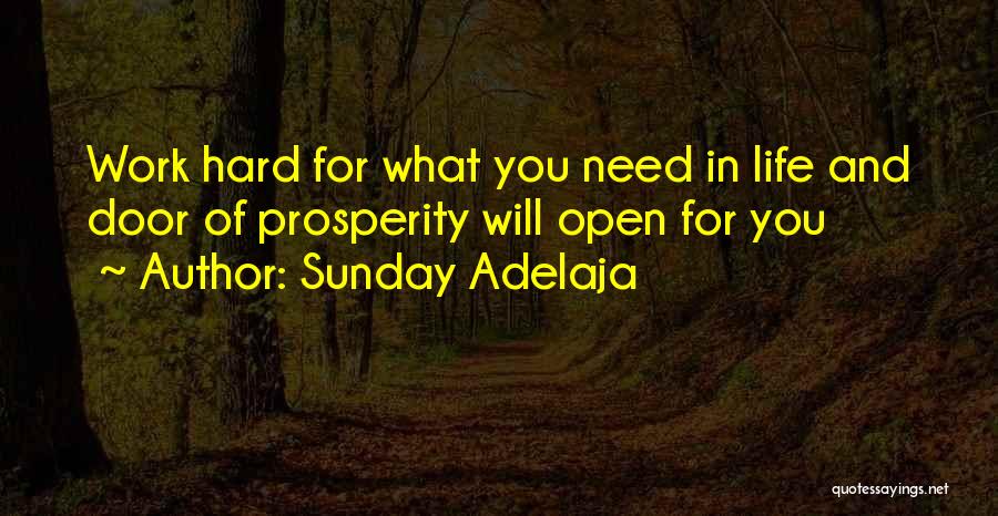 Door Will Open Quotes By Sunday Adelaja