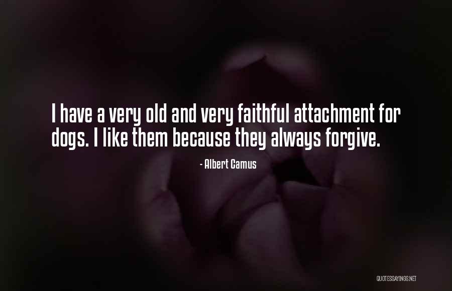 Doorani Quotes By Albert Camus Doorani Quotes By Albert Camus