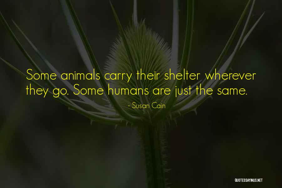 Doorgaan Vervoegen Quotes By Susan Cain Doorgaan Vervoegen Quotes By Susan Cain