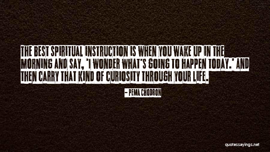 Doorkeeper Mtg Quotes By Pema Chodron Doorkeeper Mtg Quotes By Pema Chodron
