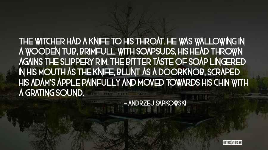 Doorknob Quotes By Andrzej Sapkowski