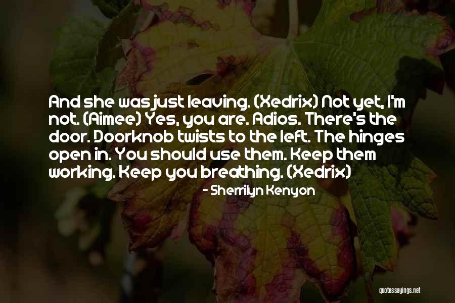 Doorknob Quotes By Sherrilyn Kenyon