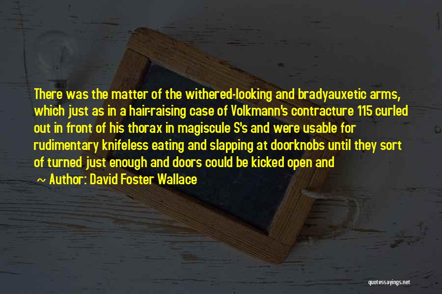 Doorknobs Quotes By David Foster Wallace