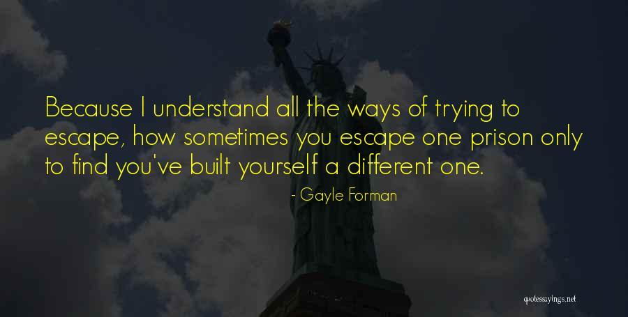 Doorless Cabinets Quotes By Gayle Forman Doorless Cabinets Quotes By Gayle Forman