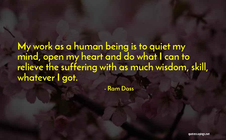 Doorless Cabinets Quotes By Ram Dass Doorless Cabinets Quotes By Ram Dass