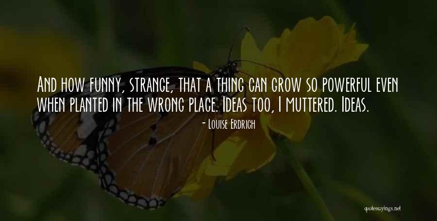 Doornbos Cattle Quotes By Louise Erdrich Doornbos Cattle Quotes By Louise Erdrich