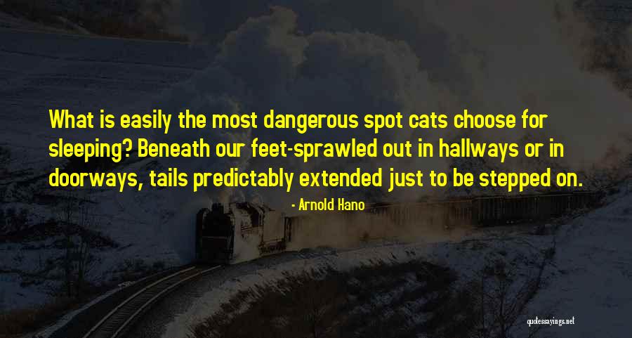Doorways Quotes By Arnold Hano Doorways Quotes By Arnold Hano