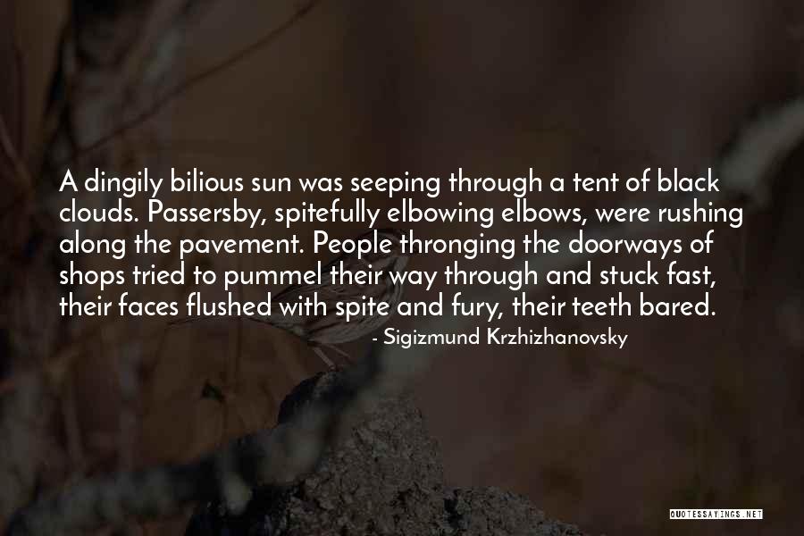 Doorways Quotes By Sigizmund Krzhizhanovsky Doorways Quotes By Sigizmund Krzhizhanovsky