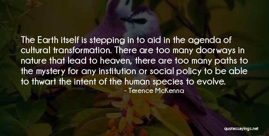Doorways Quotes By Terence McKenna Doorways Quotes By Terence McKenna