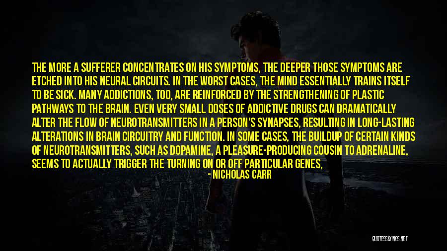 Dopamine Function Quotes By Nicholas Carr Dopamine Function Quotes By Nicholas Carr