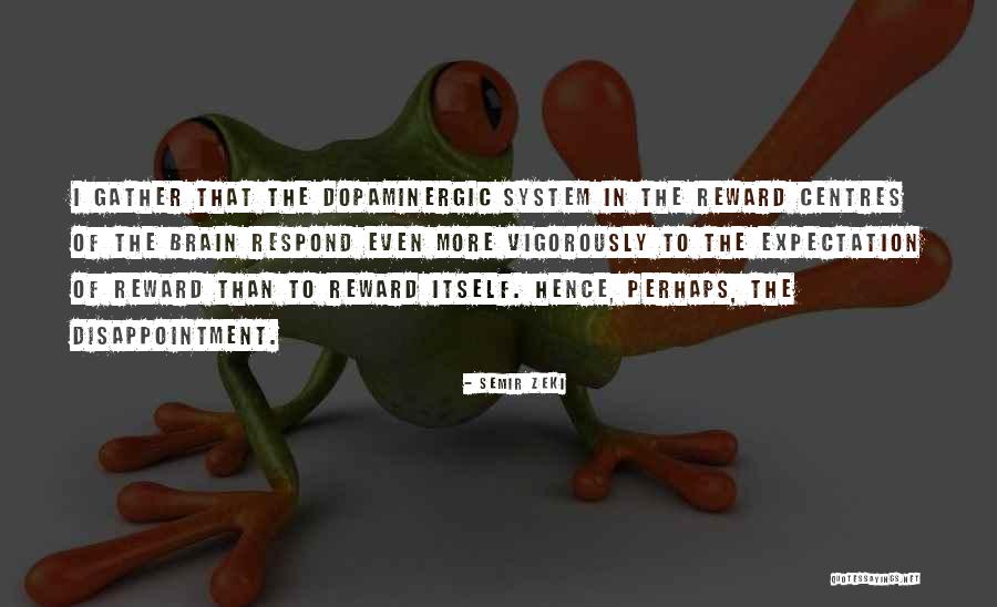 Dopaminergic Quotes By Semir Zeki Dopaminergic Quotes By Semir Zeki