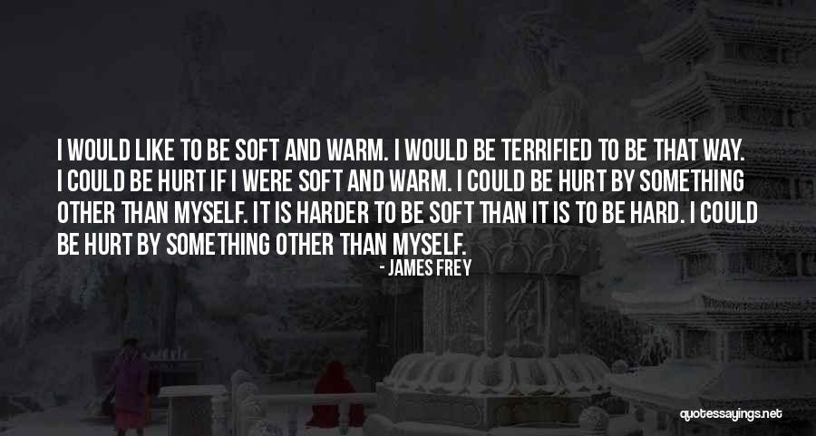 Dopustenje Quotes By James Frey
