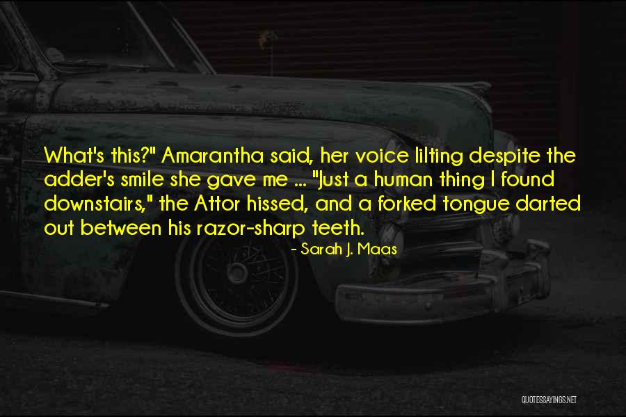 Doramakun Quotes By Sarah J. Maas Doramakun Quotes By Sarah J. Maas