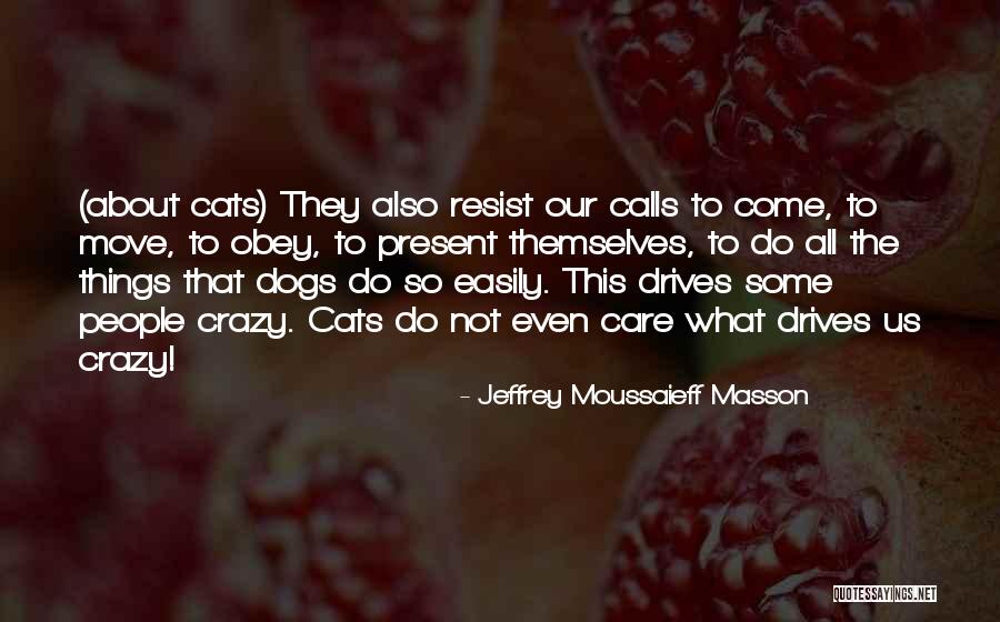 Dorangerie Quotes By Jeffrey Moussaieff Masson Dorangerie Quotes By Jeffrey Moussaieff Masson