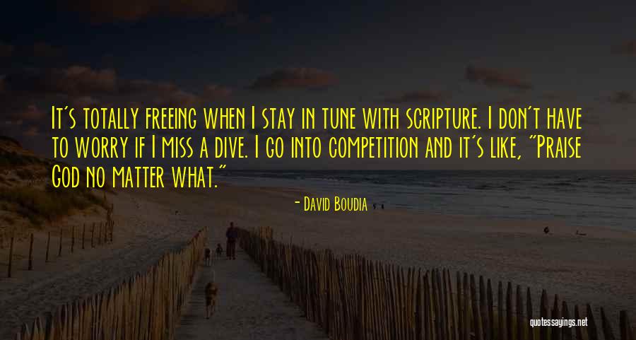 Dorato Stone Quotes By David Boudia