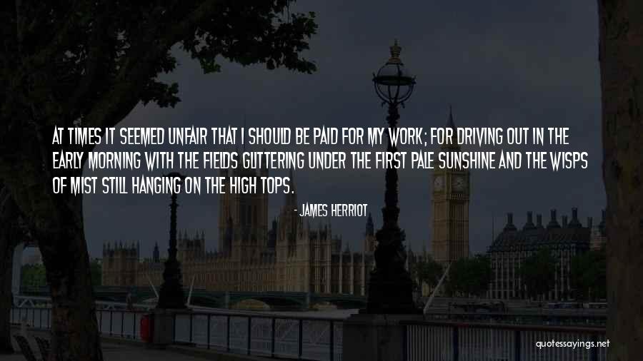 Dorato Stone Quotes By James Herriot