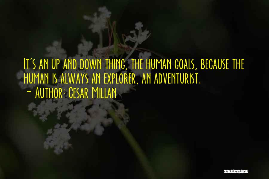 Dorcas Quotes By Cesar Millan