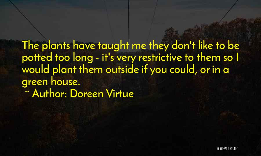 Doreen Green Quotes By Doreen Virtue