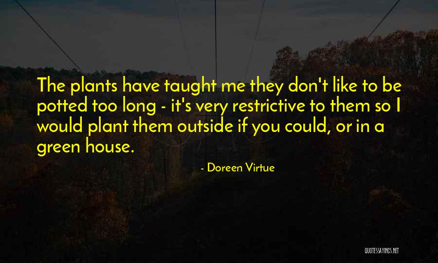 Doreen Green Quotes By Doreen Virtue