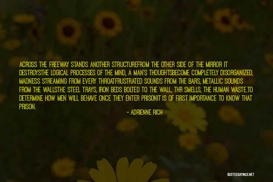 Doremus Homes Quotes By Adrienne Rich Doremus Homes Quotes By Adrienne Rich