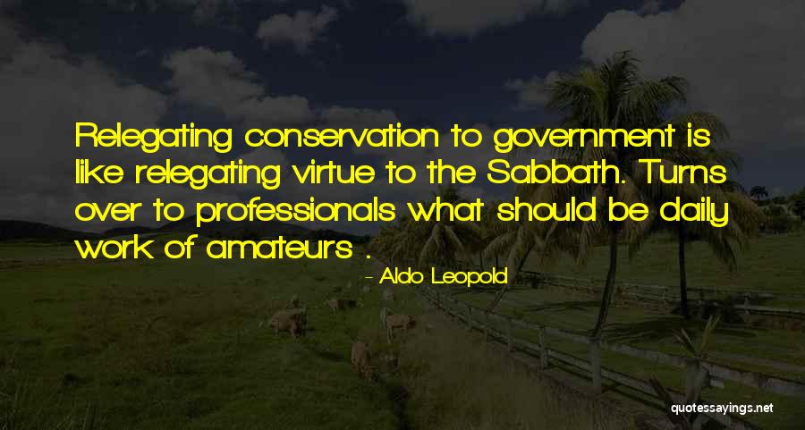 Dorene Day Quotes By Aldo Leopold Dorene Day Quotes By Aldo Leopold