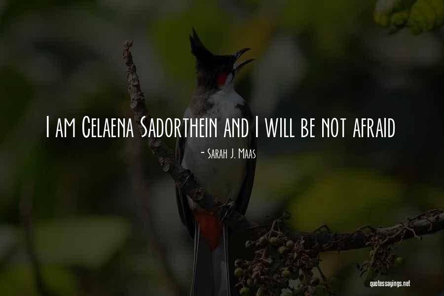 Dores No Joelho Quotes By Sarah J. Maas Dores No Joelho Quotes By Sarah J. Maas