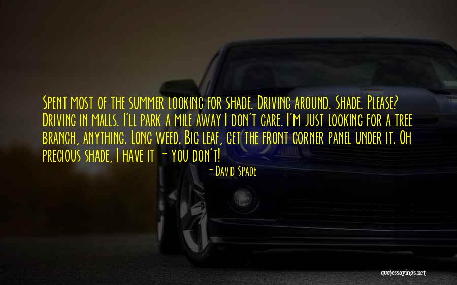 Doresc In Limba Quotes By David Spade Doresc In Limba Quotes By David Spade