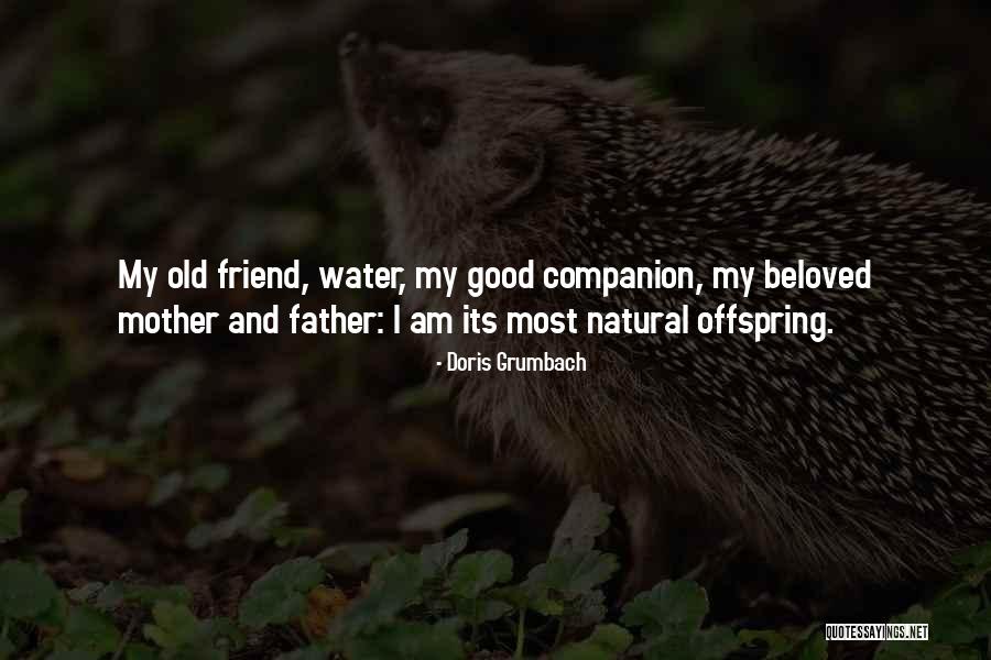 Doris Grumbach Quotes 2148826 Doris Grumbach Quotes 2148826