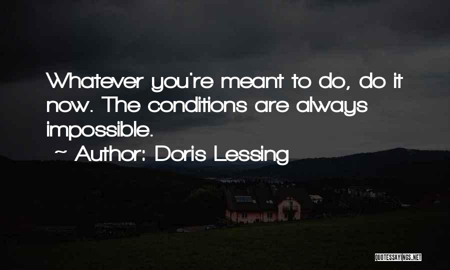 Doris Lessing Quotes 1294724