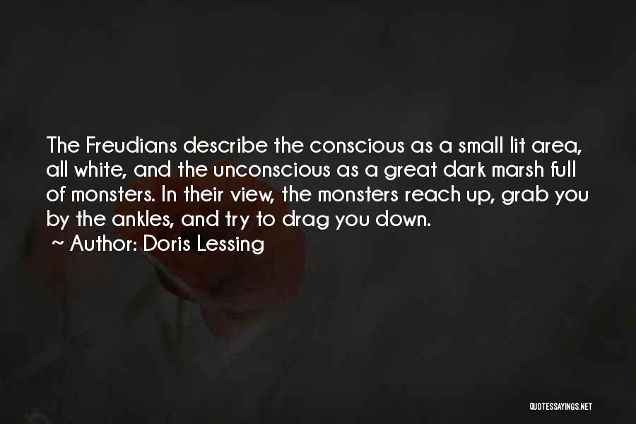 Doris Lessing Quotes 1345828