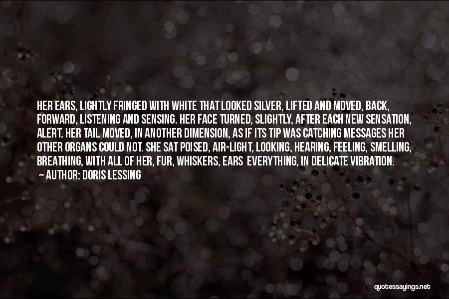 Doris Lessing Quotes 222182