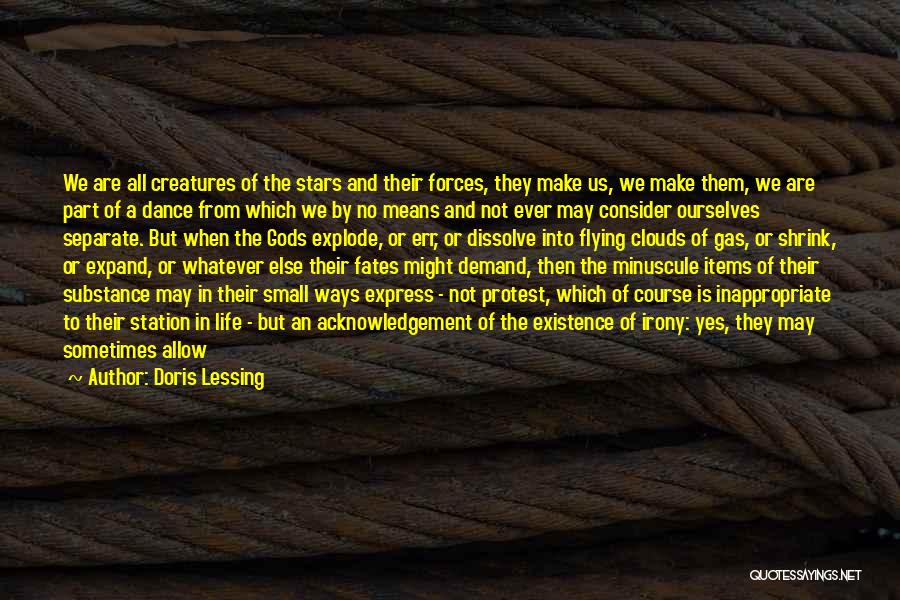 Doris Lessing Quotes 364965