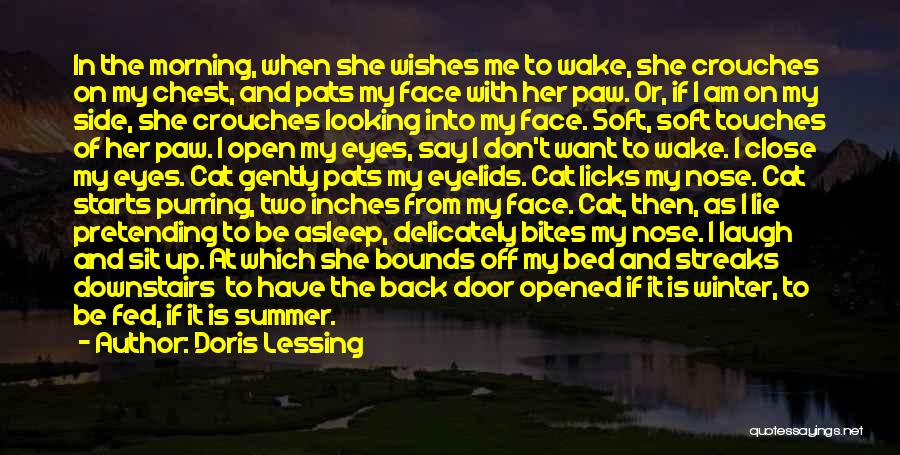 Doris Lessing Quotes 371461