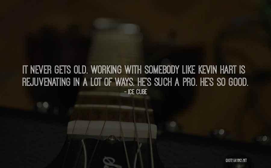 Dorning Kubota Quotes By Ice Cube Dorning Kubota Quotes By Ice Cube