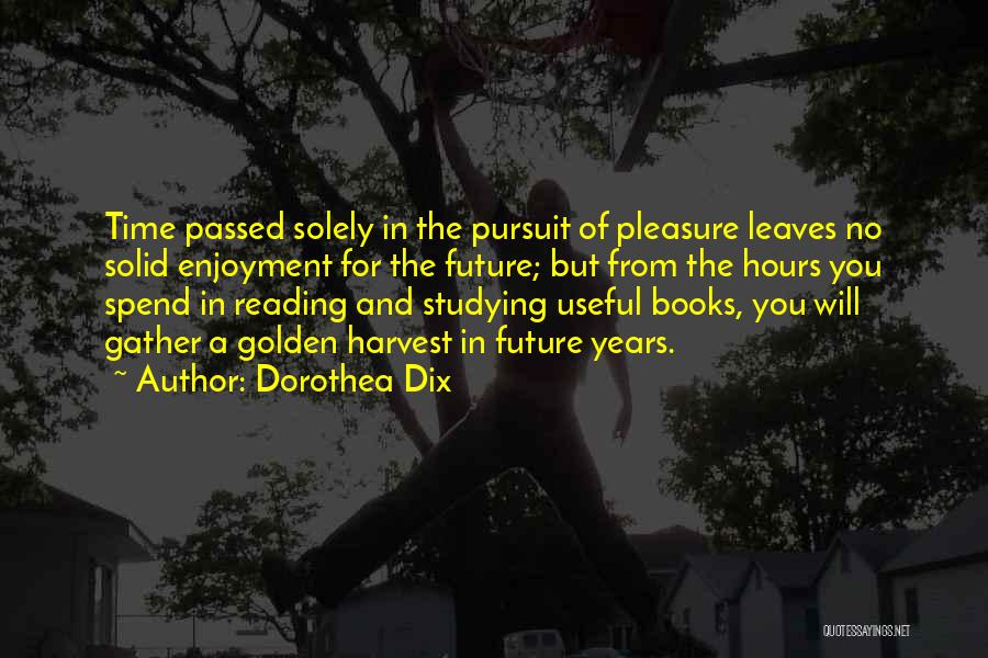 Dorothea Dix Quotes 1607263