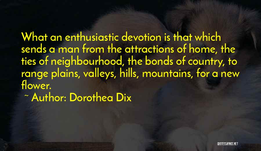Dorothea Dix Quotes 1965589