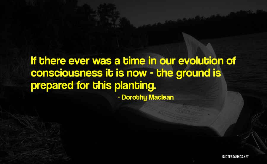 Dorothy Maclean Quotes 996345