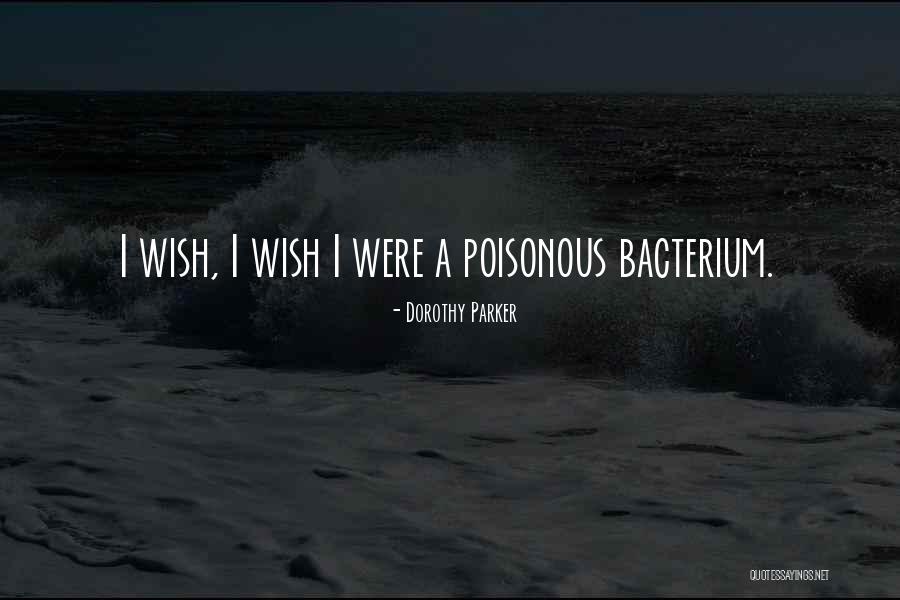 Dorothy Parker Quotes 161960 Dorothy Parker Quotes 161960
