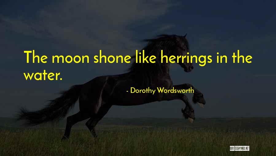 Dorothy Wordsworth Quotes 1321406