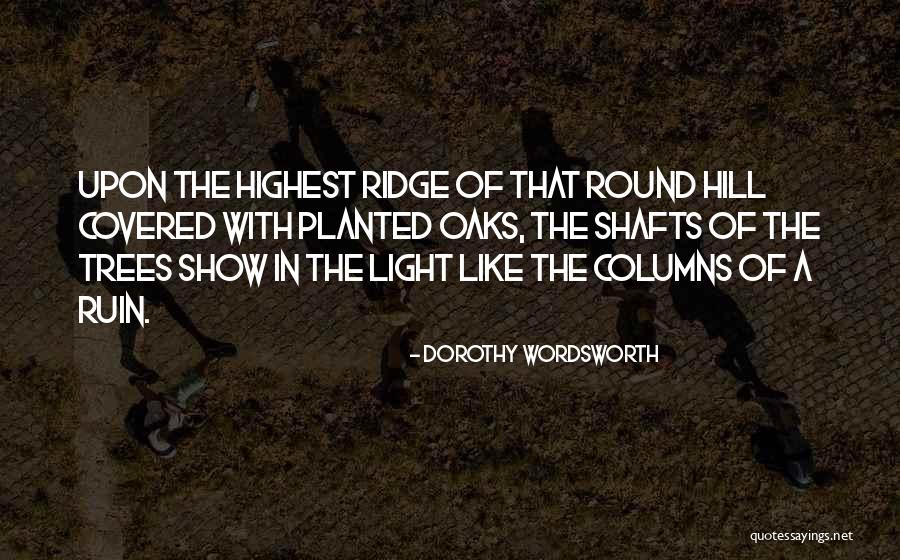 Dorothy Wordsworth Quotes 1526249