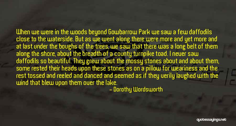 Dorothy Wordsworth Quotes 377120 Dorothy Wordsworth Quotes 377120