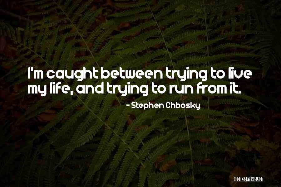 Dorudon Quotes By Stephen Chbosky Dorudon Quotes By Stephen Chbosky