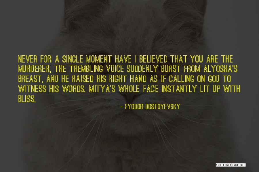 Dorwin Saddle Quotes By Fyodor Dostoyevsky Dorwin Saddle Quotes By Fyodor Dostoyevsky