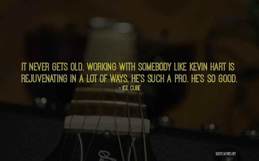Dosadi Quotes By Ice Cube Dosadi Quotes By Ice Cube