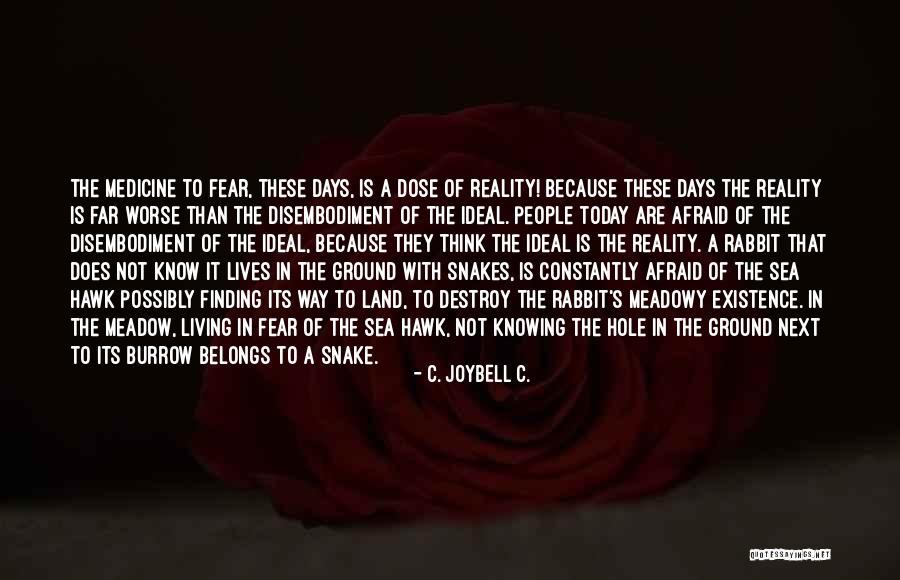 Dose Of Medicine Quotes By C. JoyBell C. Dose Of Medicine Quotes By C. JoyBell C.